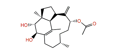 (2R*,3R*,4S*,7R*,9R*,12S*,16S*)-2,3-Dihydroxytrinervita-1(15),8(19)-dien-9-yl acetate